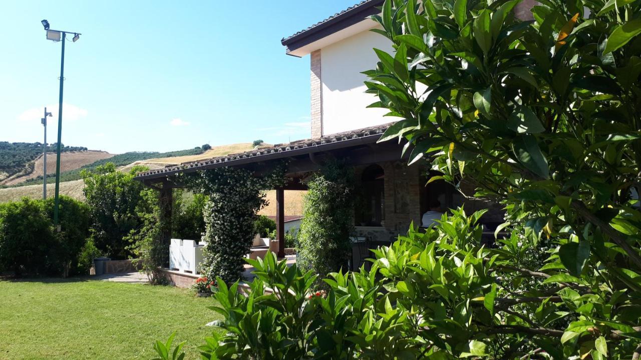 Agriturismo Trappeto Vecchio San Demetrio Corone Ngoại thất bức ảnh