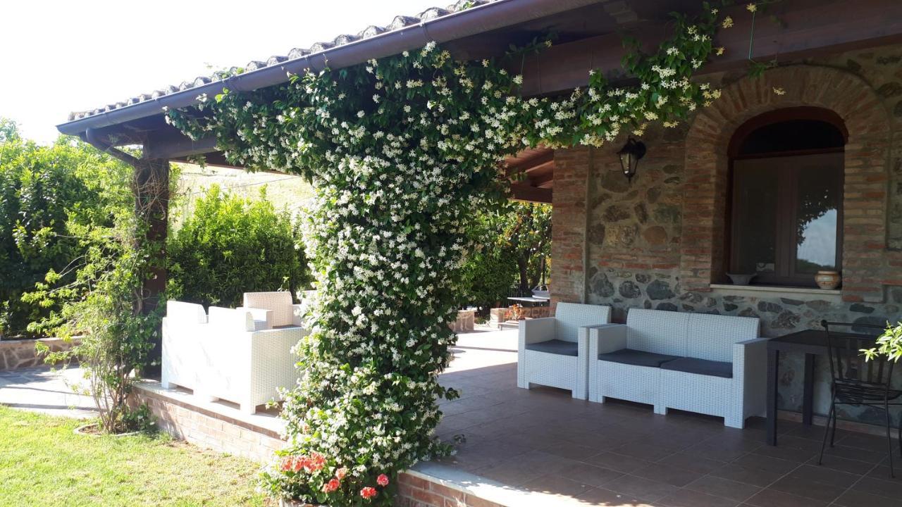 Agriturismo Trappeto Vecchio San Demetrio Corone Ngoại thất bức ảnh