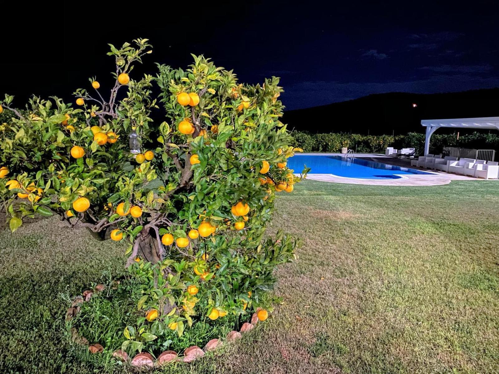 Agriturismo Trappeto Vecchio San Demetrio Corone Ngoại thất bức ảnh