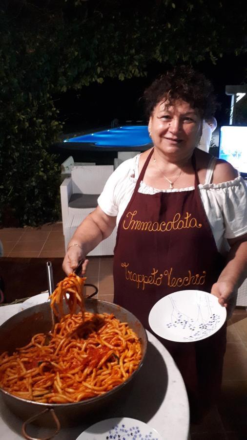 Agriturismo Trappeto Vecchio San Demetrio Corone Ngoại thất bức ảnh