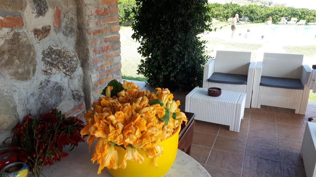 Agriturismo Trappeto Vecchio San Demetrio Corone Ngoại thất bức ảnh