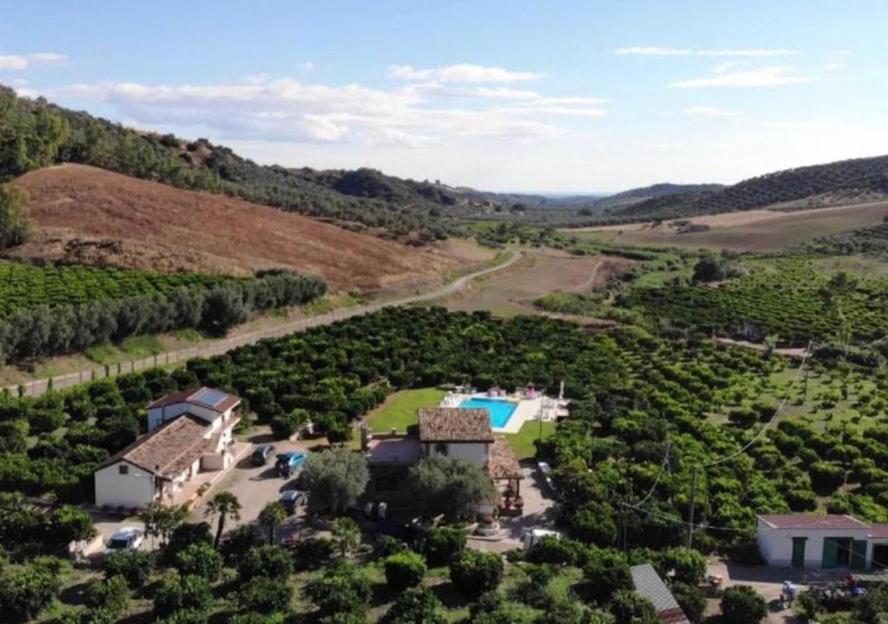 Agriturismo Trappeto Vecchio San Demetrio Corone Ngoại thất bức ảnh