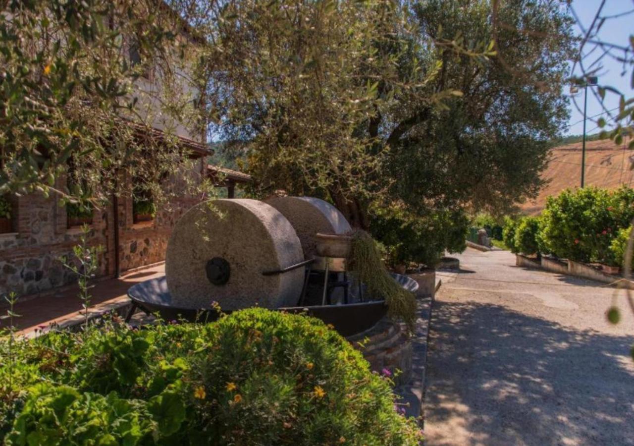 Agriturismo Trappeto Vecchio San Demetrio Corone Ngoại thất bức ảnh