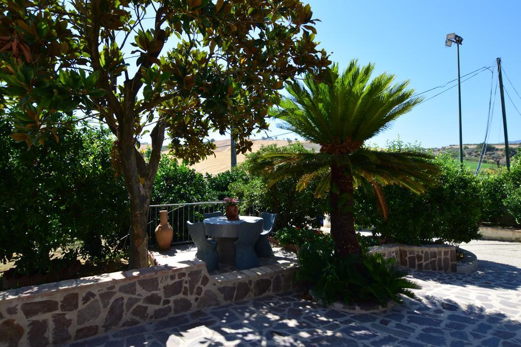 Agriturismo Trappeto Vecchio San Demetrio Corone Ngoại thất bức ảnh